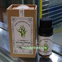 Eyun 10ml pure essential oil - Eucalyptus